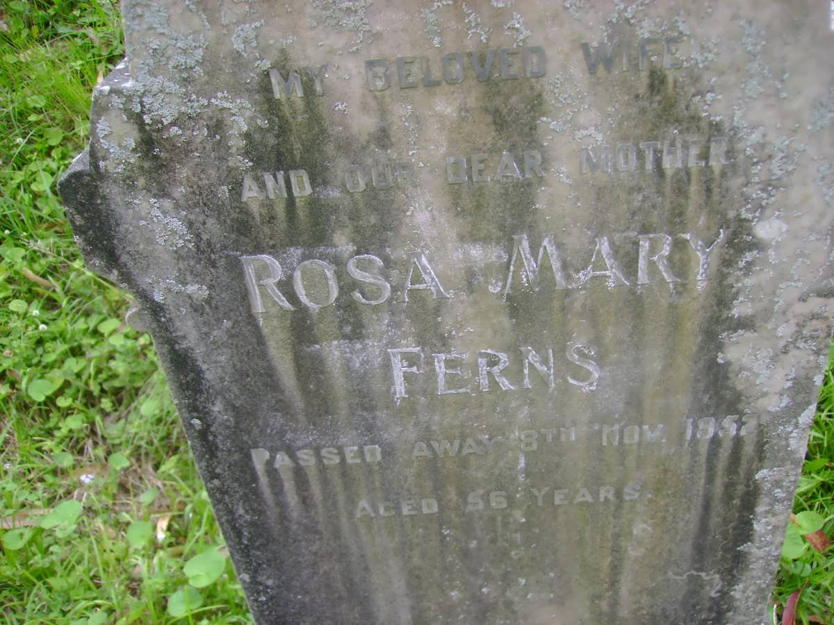 FERNS Rosa Mary -1952