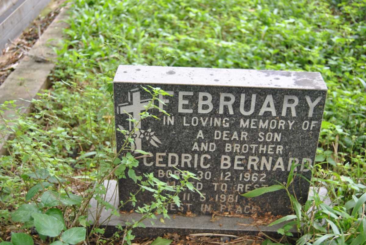 FEBRUARY Cedric Bernard 1962-1981
