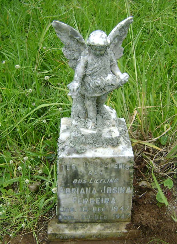 FERREIRA Petrus Hendrik 1944-1964 :: FERREIRA Adriana Josina 1947-1947