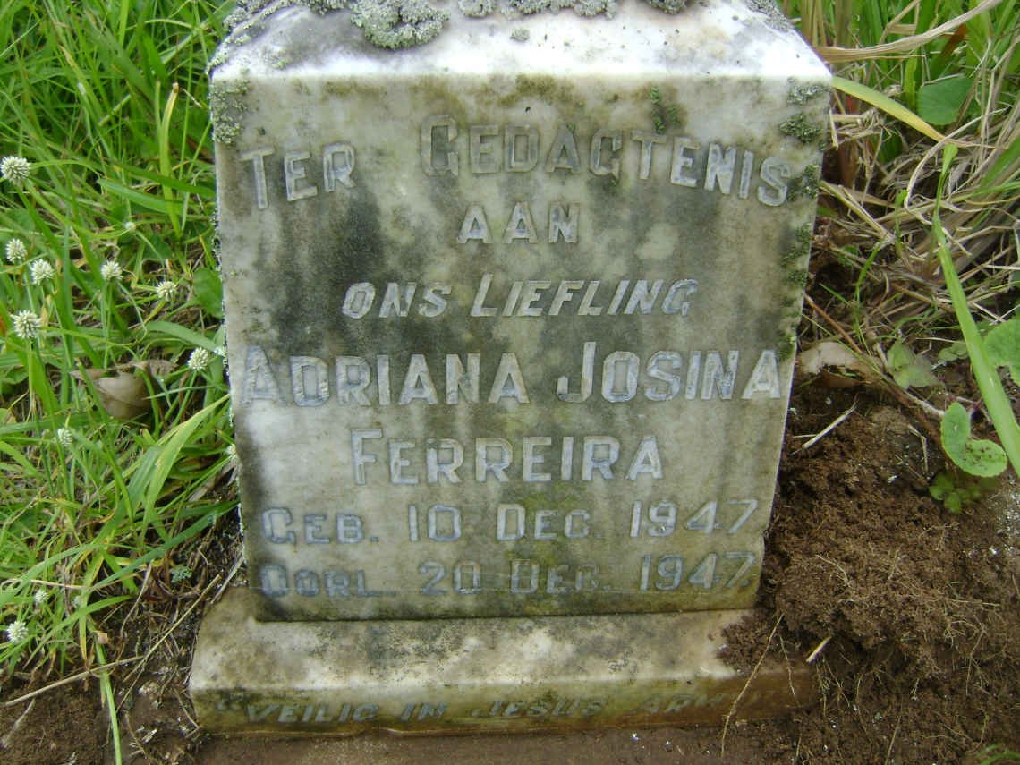 FERREIRA Petrus Hendrik 1944-1964 :: FERREIRA Adriana Josina 1947-1947