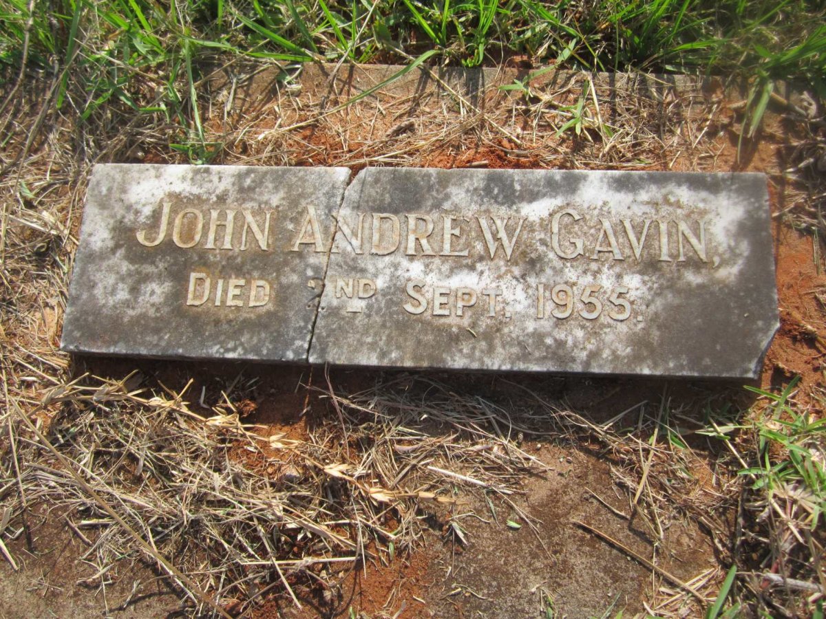 GAVIN John Andrew -1955