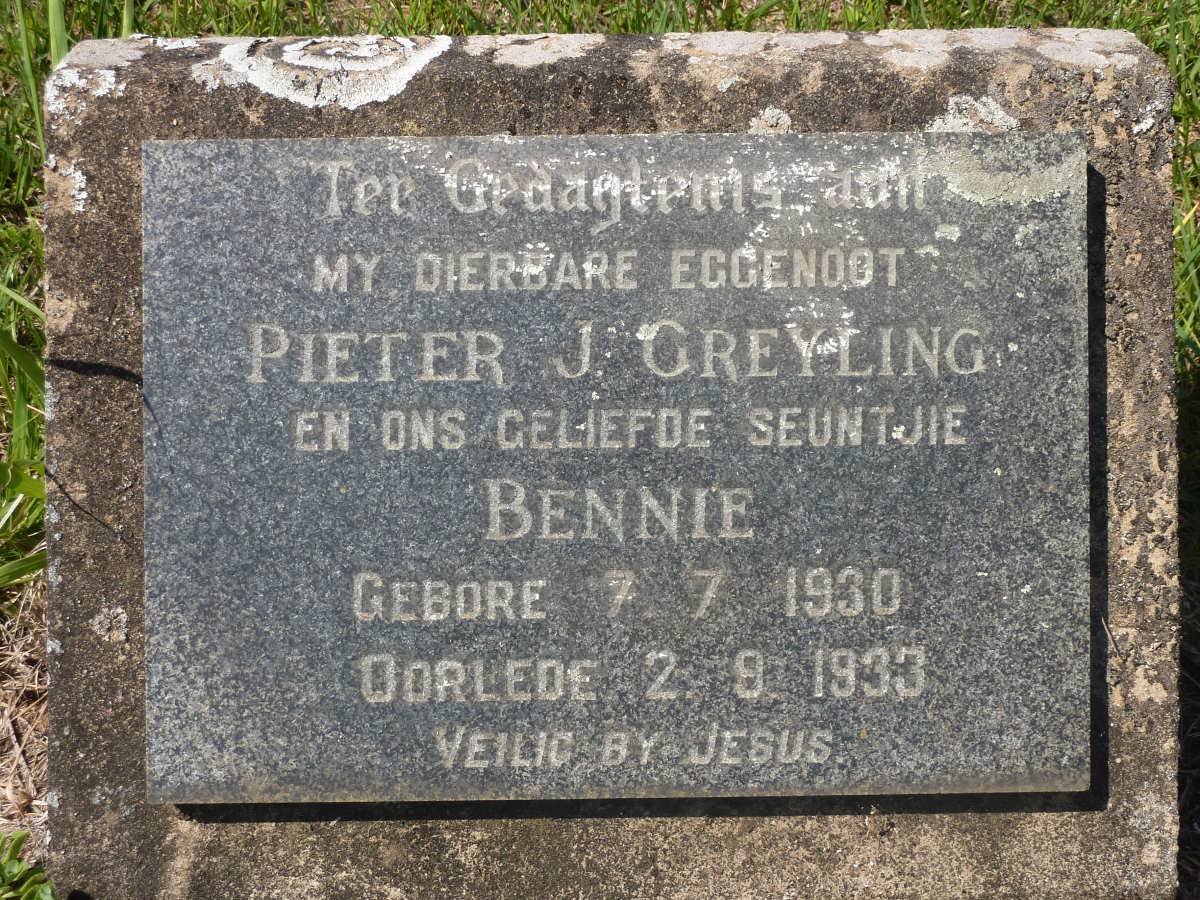 GREYLING Pieter J. 1930-1933