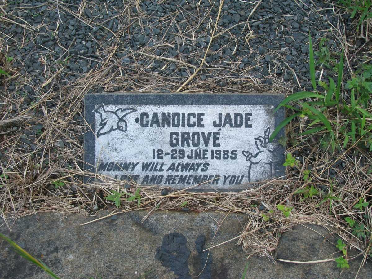 GROVE Candice Jade -1985