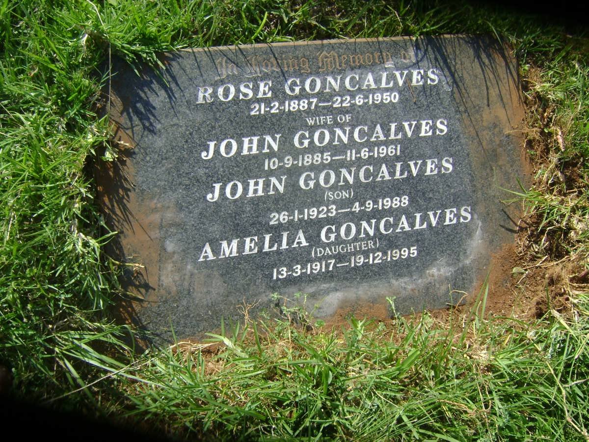 GONCALVES John 14885-1961 &amp; Rose 1887-1950 :: GONCALVES John 1923-1988 :: GONCALVES Amelia 1917-1995