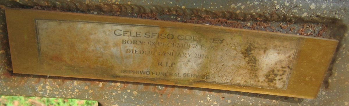 GODFREY Cele Sfiso 1975-2016