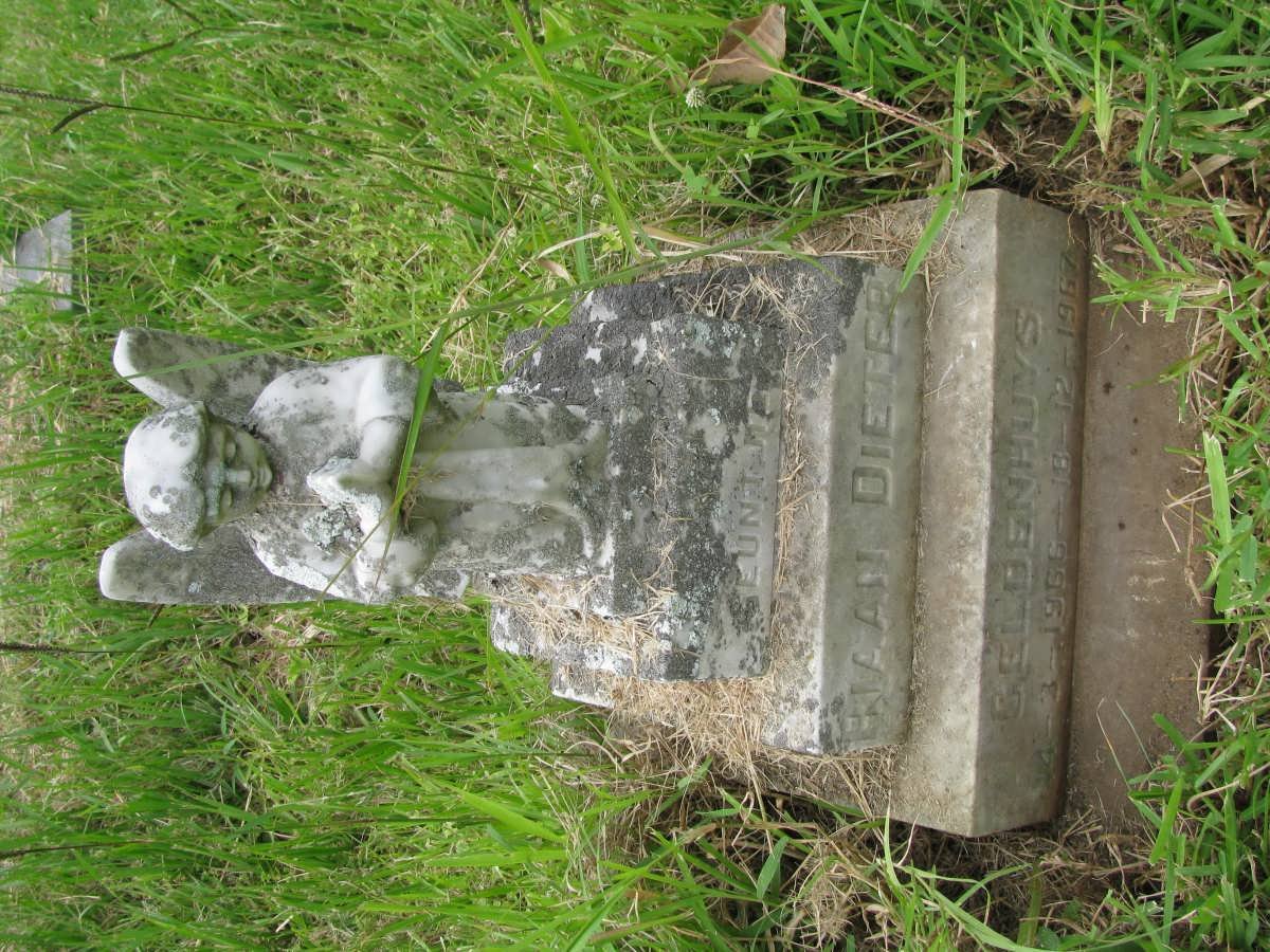 GELDENHUYS Riaan Dieter 1966-1967