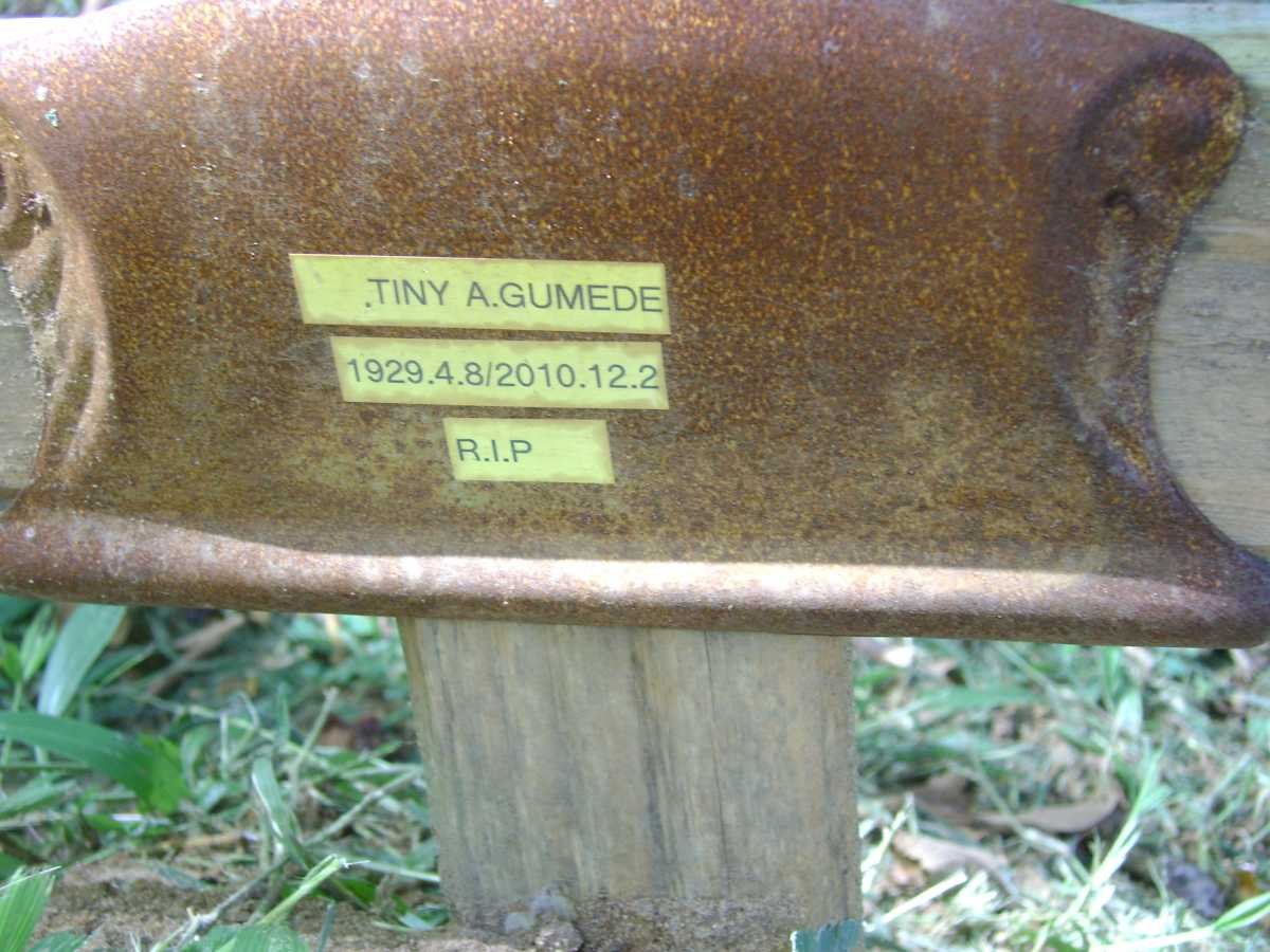 GUMEDE Tiny A. 1929-2010