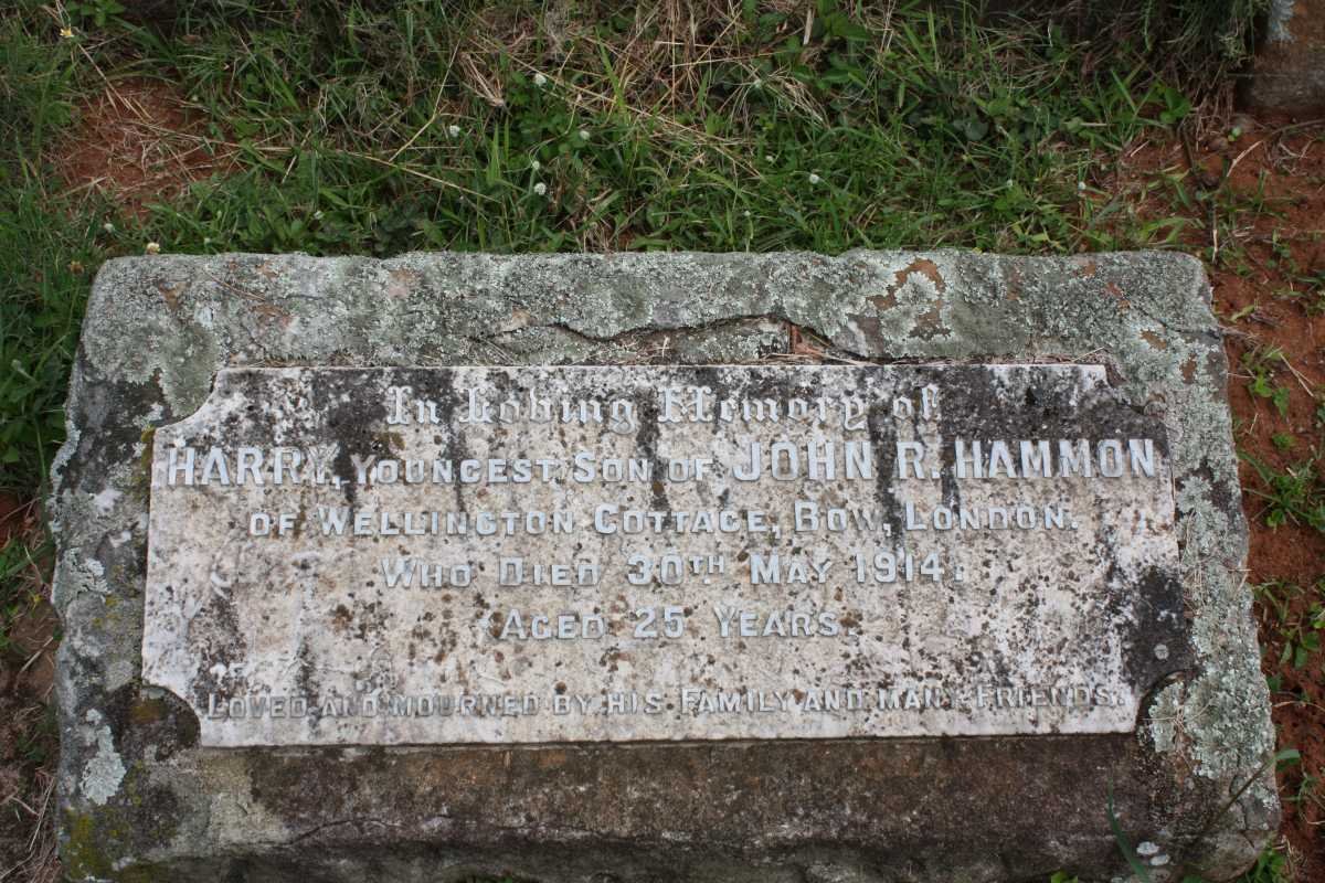HAMMON Harry -1914