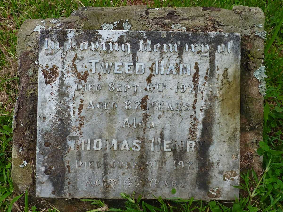 HAM Tweed  -1921 :: HENRY Thomas -1921