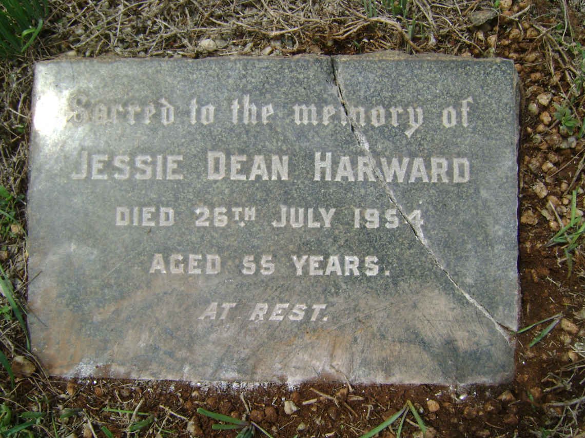 HARWARD Jessie Dean -1954