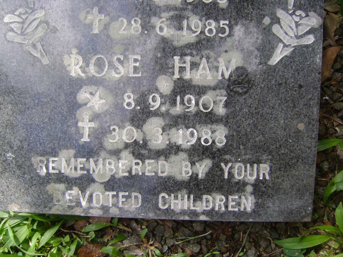 HAM Rose 1907-1988
