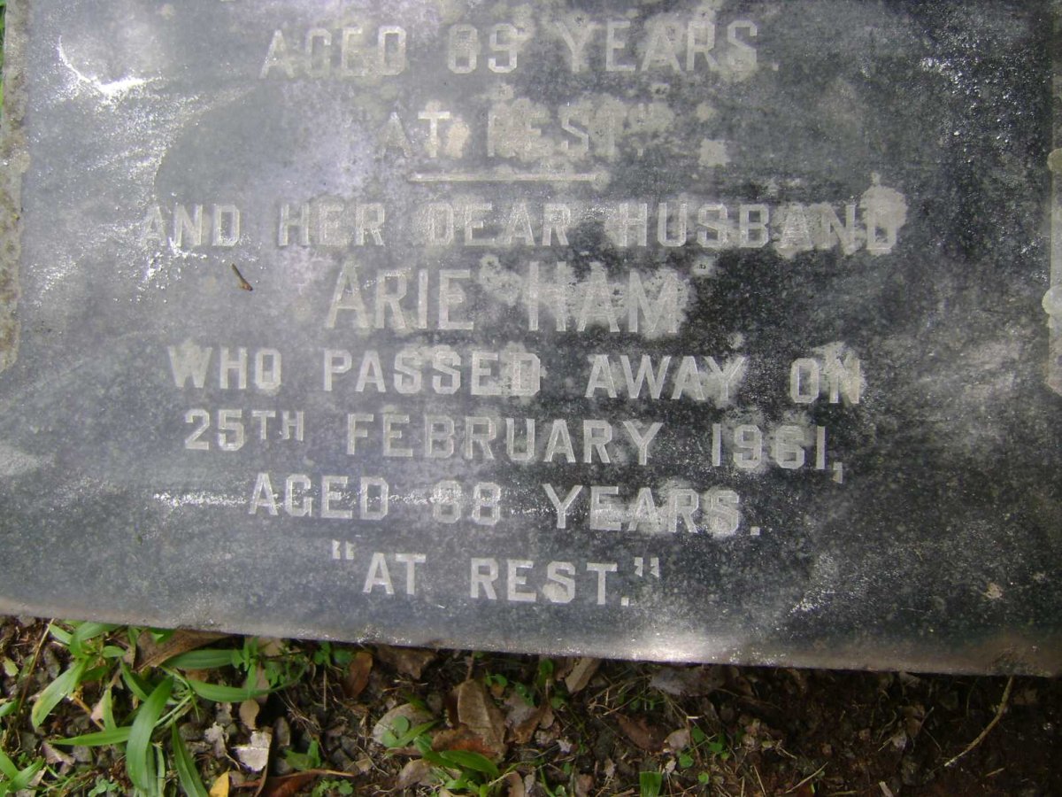 HAM Arie -1961