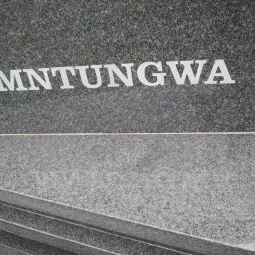 HAMILTON Vusumuzi 1958-2016