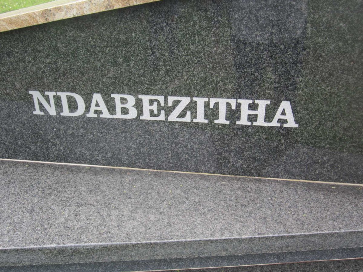 HAMILTON Vusumuzi 1958-2016