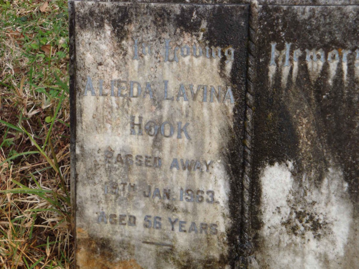 HOOK Alieda Lavina -1963
