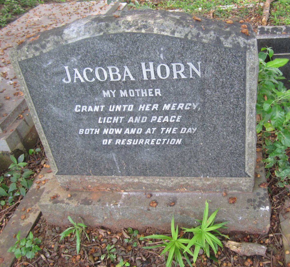 HORN Jacoba