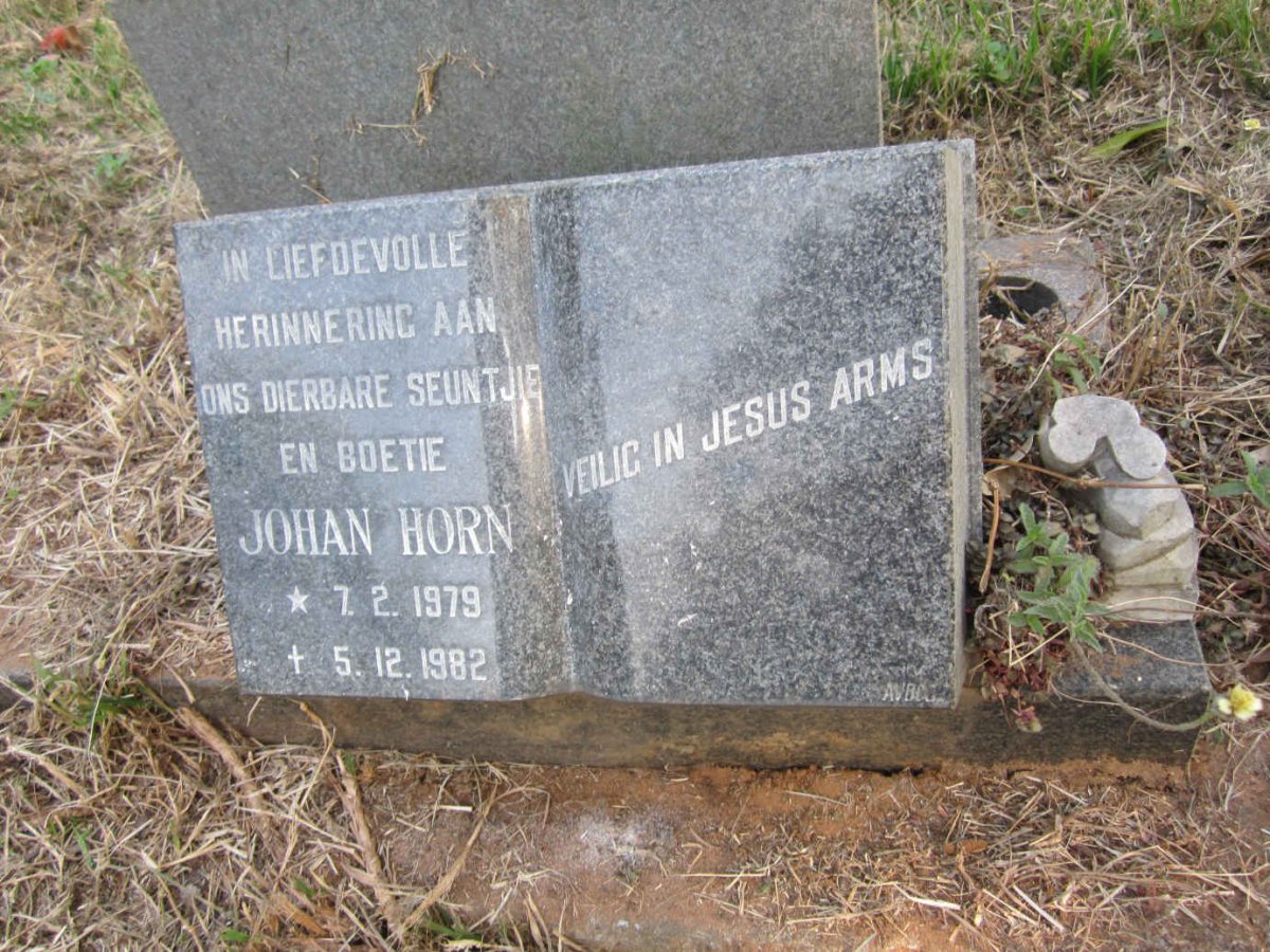HORN Johan 1979-1982