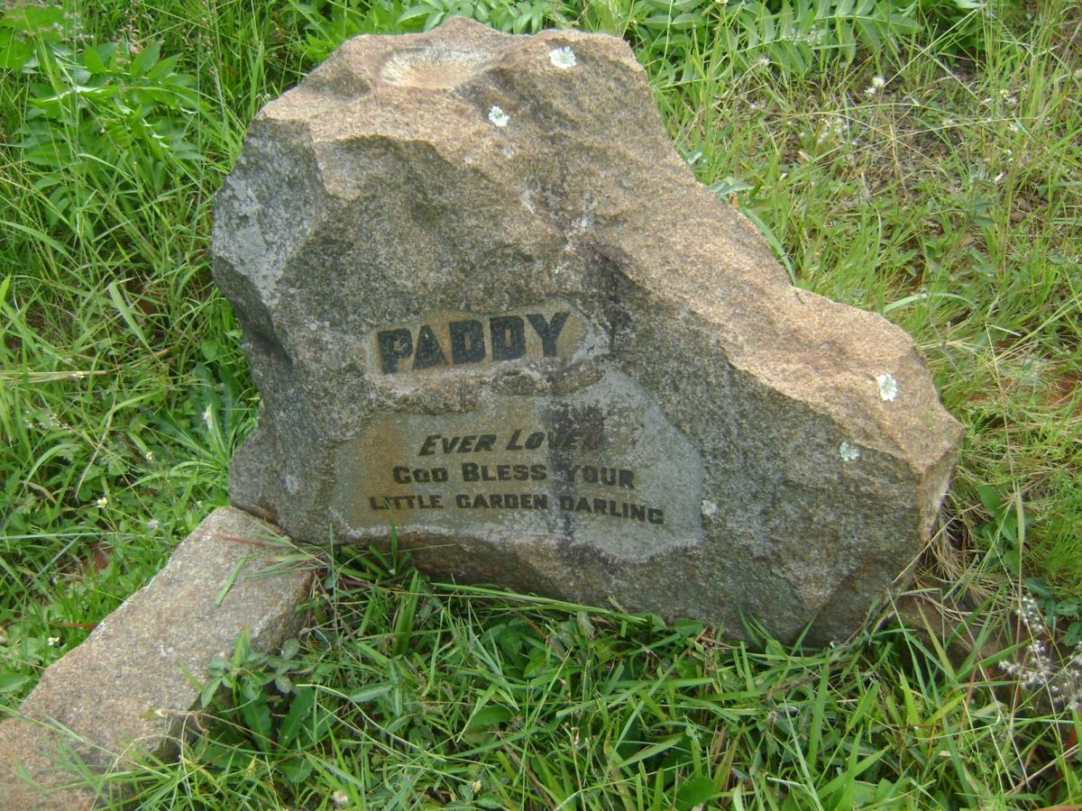 HOLLANDS Paddy 1922-1952