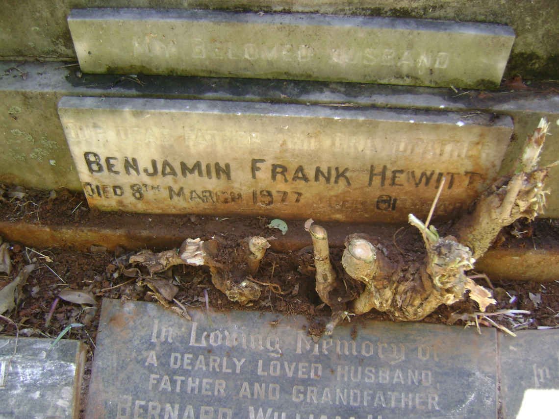 HEWITT Frank -1946 &amp; Florence -1955 :: HEWITT Hilda - 1990 :: HEWITT Bernard William 1904-1981