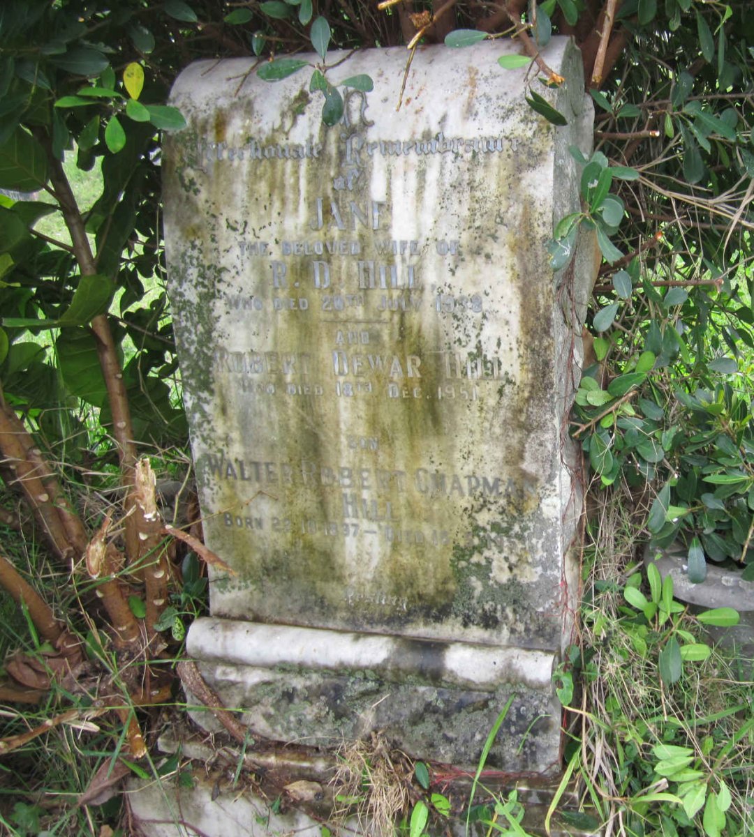 HILL Robert Dewar -1951 &amp; Jane -1938 :: HILL Walter Robert Chapman 1897-1951