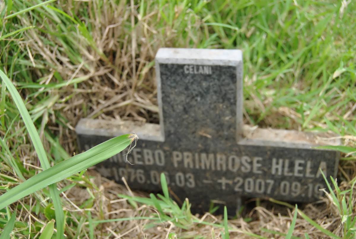 HLELA ? Primrose 1976-2007
