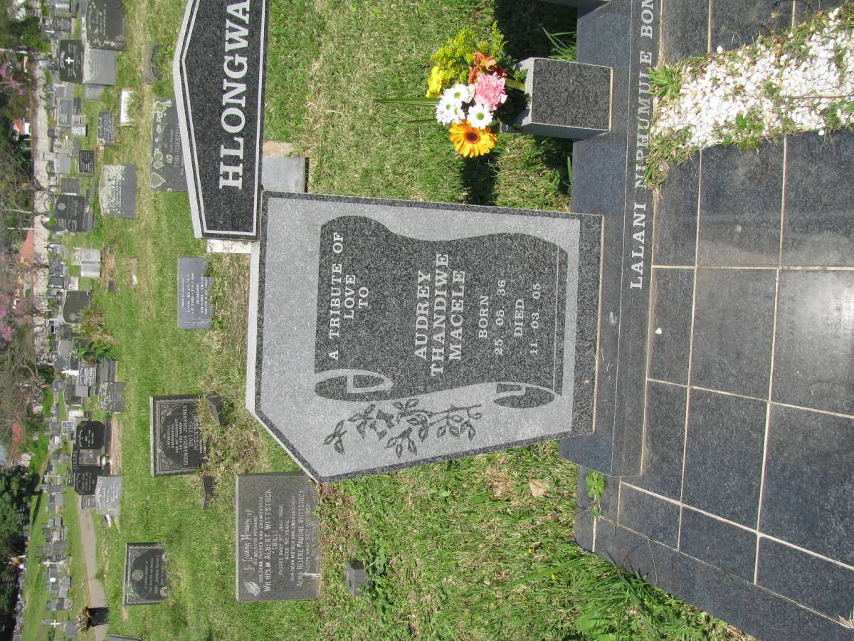 HLONGWANE Herbert Themba 1924-2006 &amp; Audrey Thandiwe Macele 1936-2005