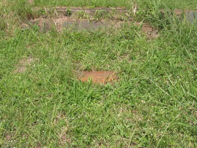 1. Overview on graves