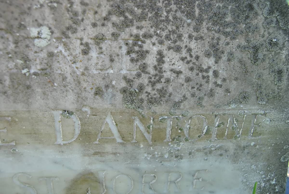 RENEE - D'ANTOINE - ST JORRE