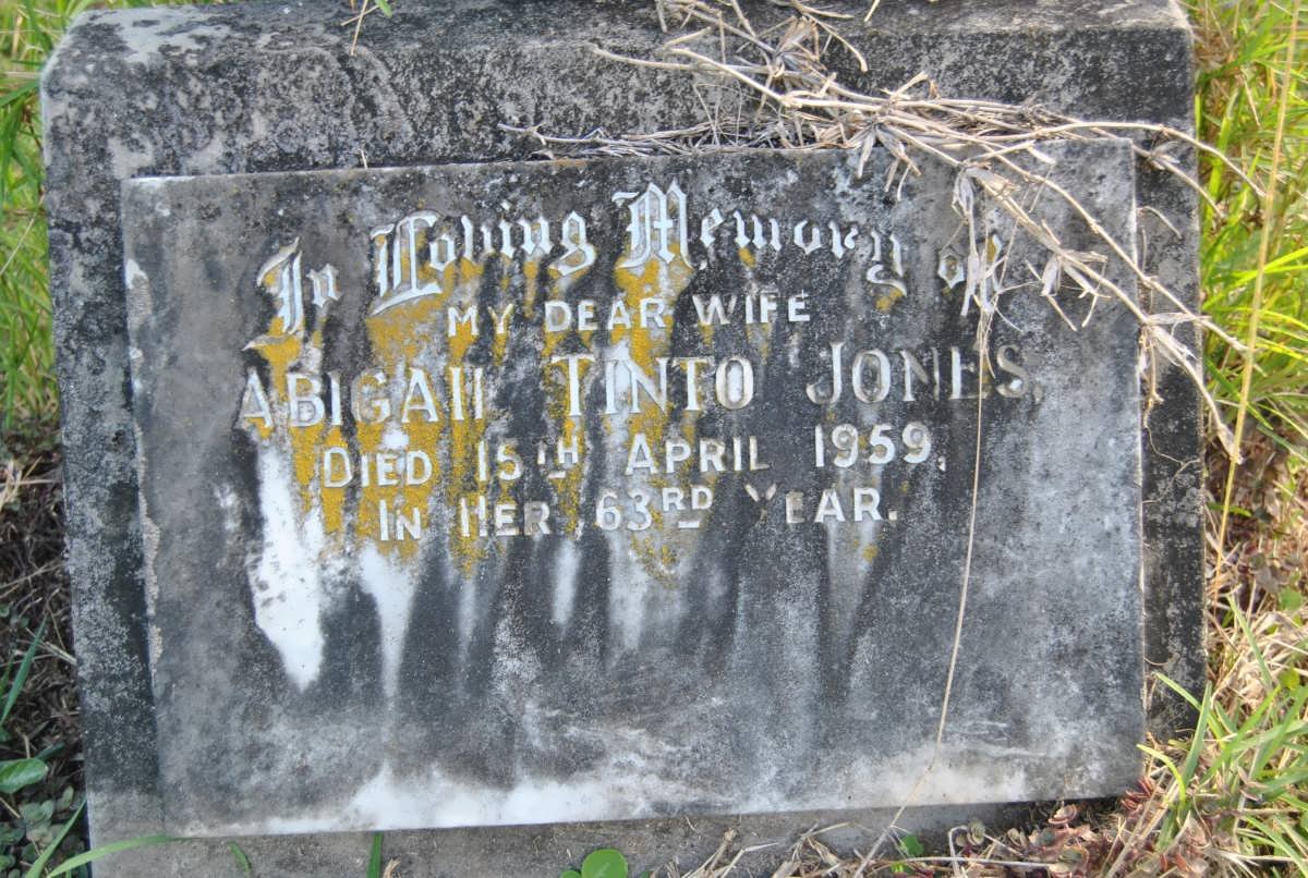 JONES Abigail Tinto -1959