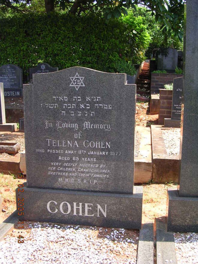 COHEN Telena -1977
