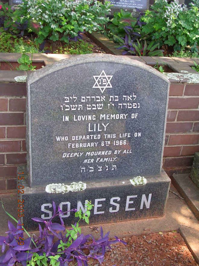 SONESEN Lily -1966