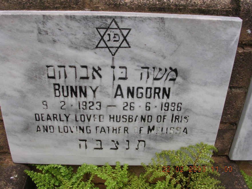 ANGORN Bunny 1929-1986