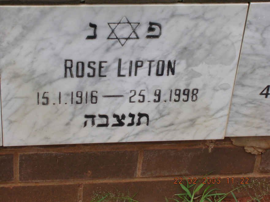 LIPTON Rose 1916-1998