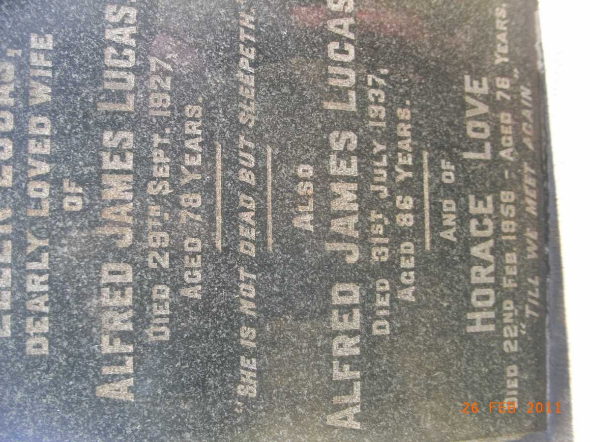 LUCAS Alfred James -1937 &amp; Ellen -1927 :: LOVE Horace -1958