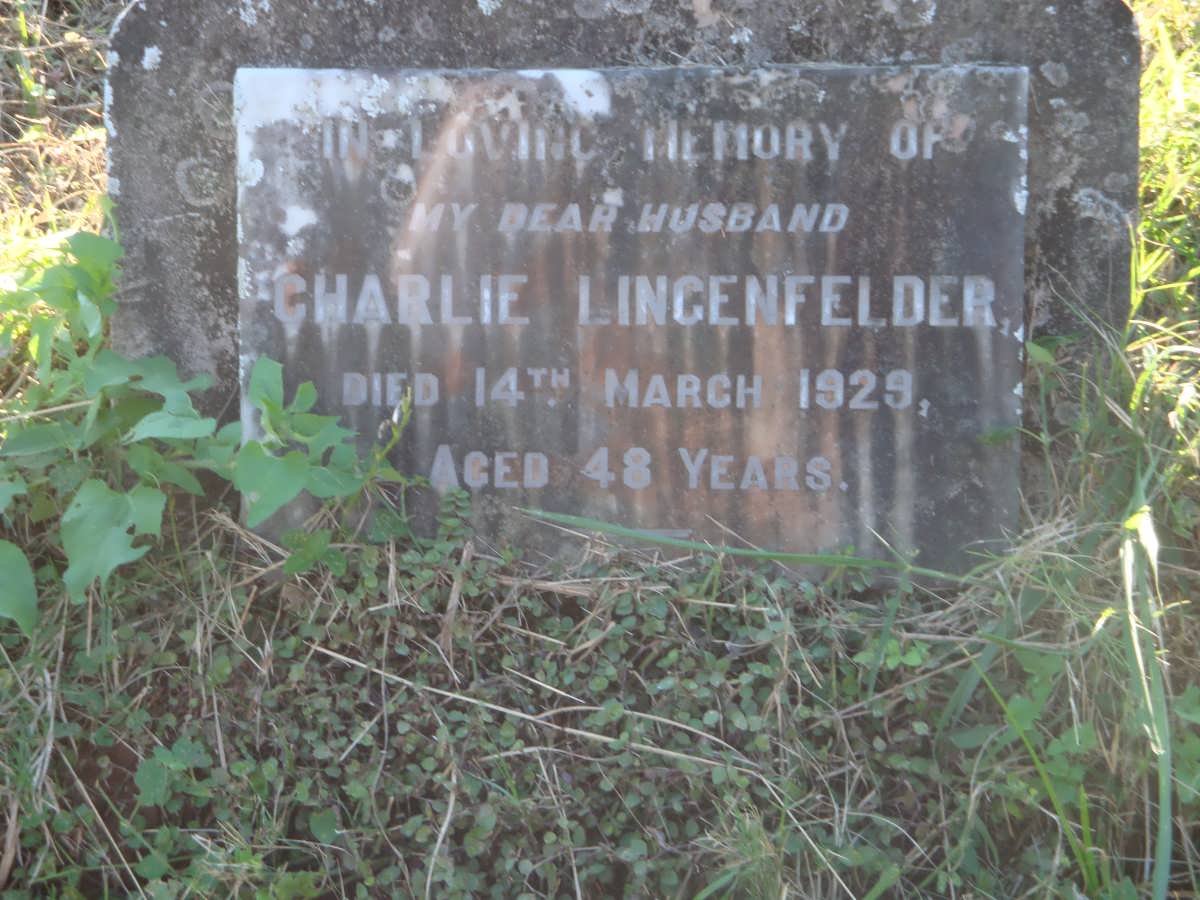 LINGENFELDER Charlie -1929