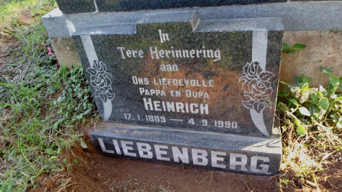 LIEBENBERG Heinrich 1989-1990