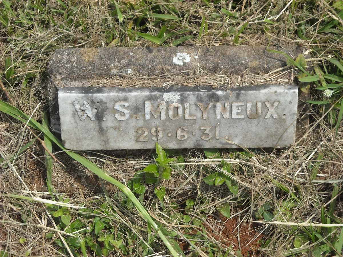 MOLYNEUX W.S. -1931