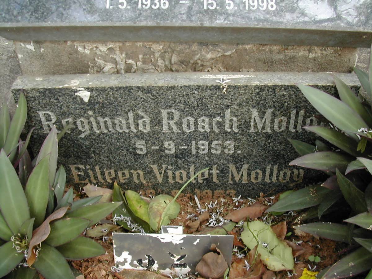 MOLLOY Reginald Roach -1953 :: MOLLOY Eileen Violet -1963