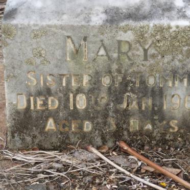 MORGAN Mary -1960
