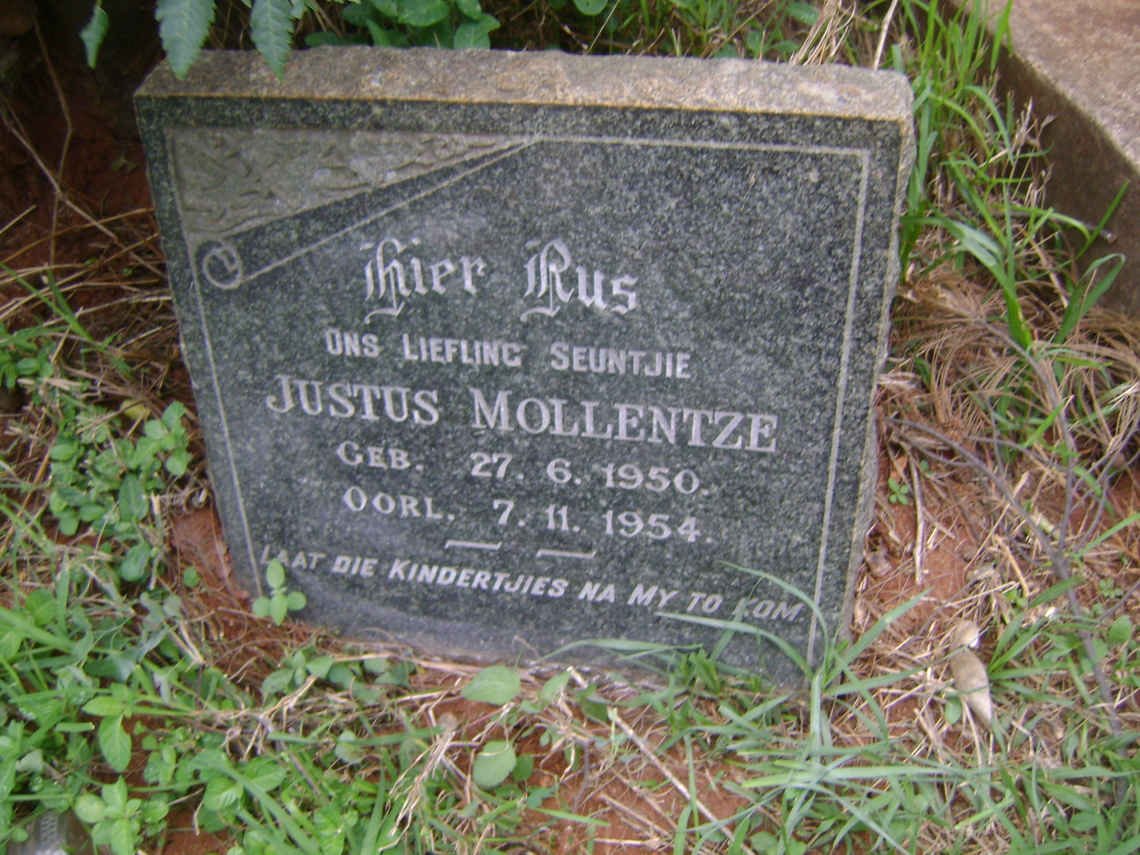 MOLLENTZE Justus 1950-1954