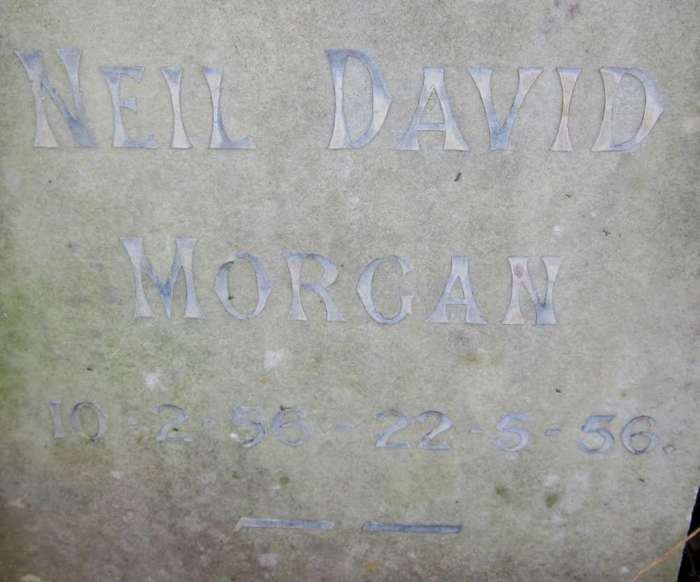 MORGAN Neil David 1956-1956