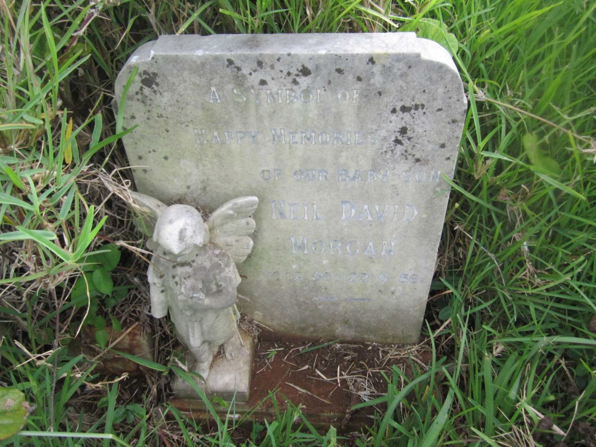 MORGAN Neil David 1956-1956
