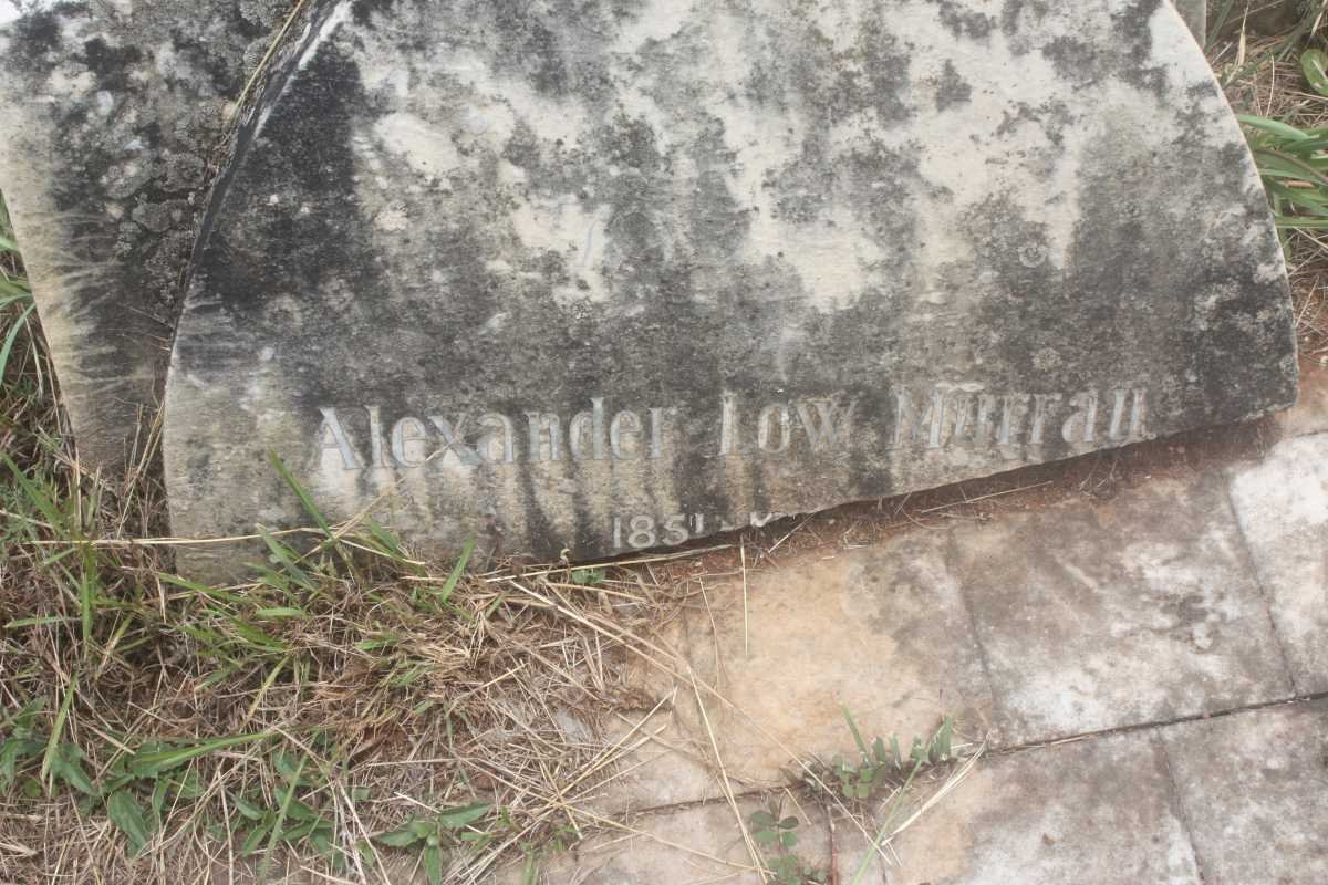 MURRAY Alexander Low 1851-1930