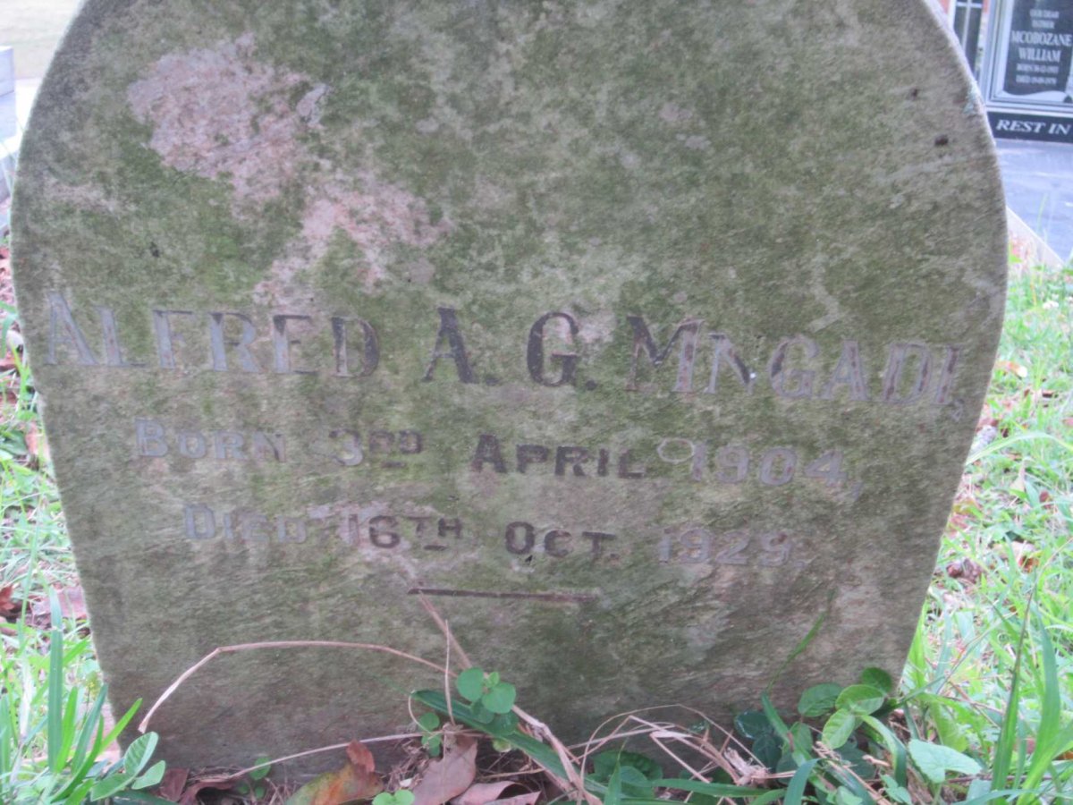 MNGADI Alfred A.G. 1904-1929