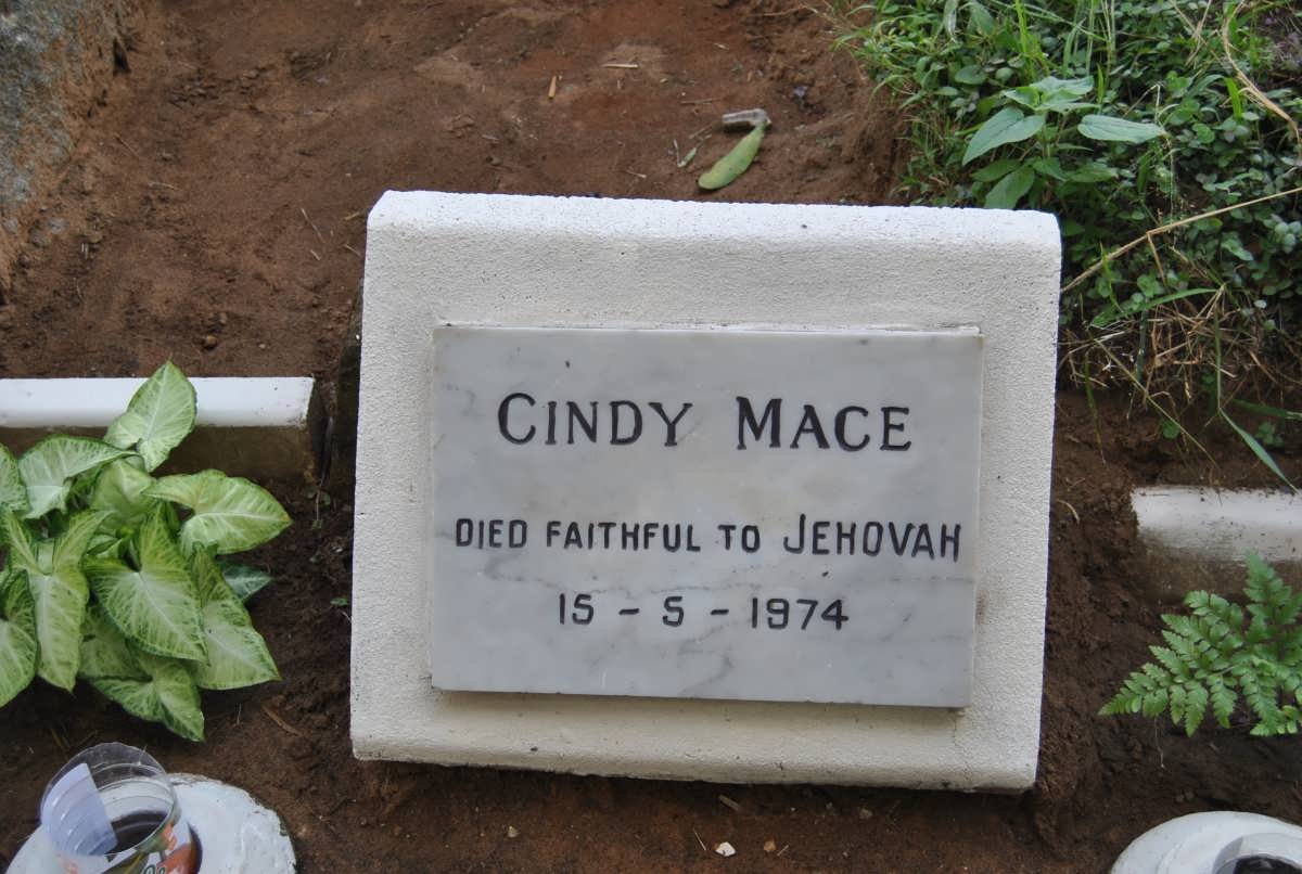 MACE Cindy -1974