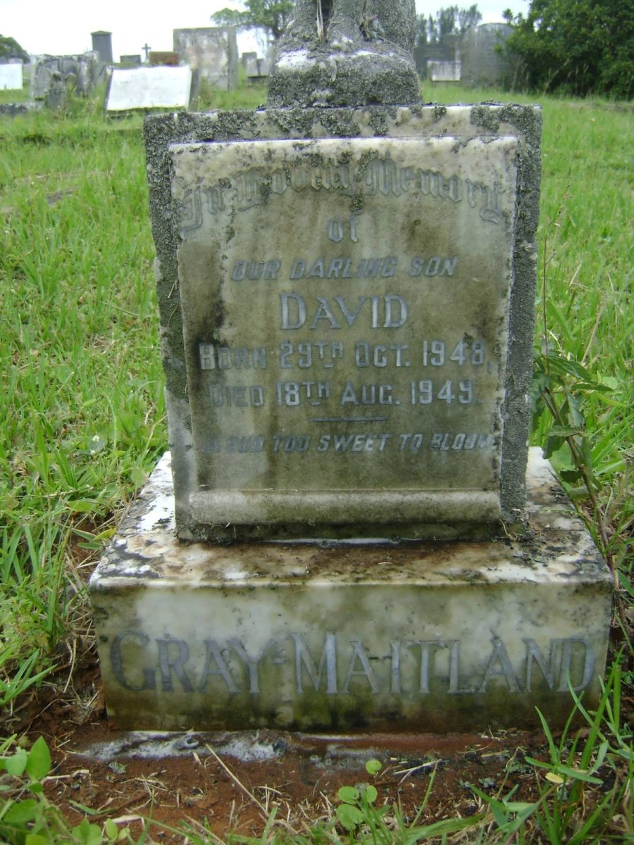 MAITLAND David, GRAY 1948-1949