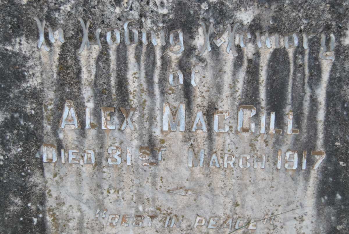 MACGILL Alex -1917