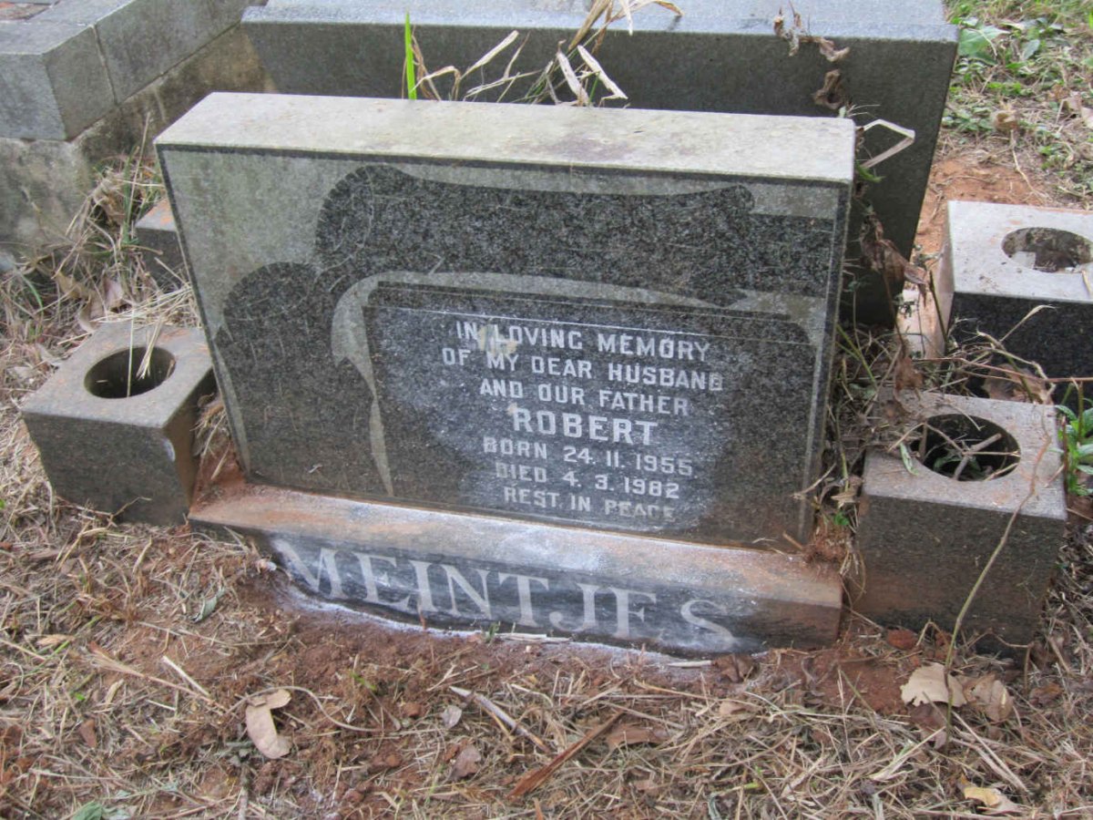 MEINTJES Robert 1955-1982