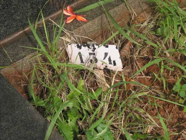 Grave Number 154