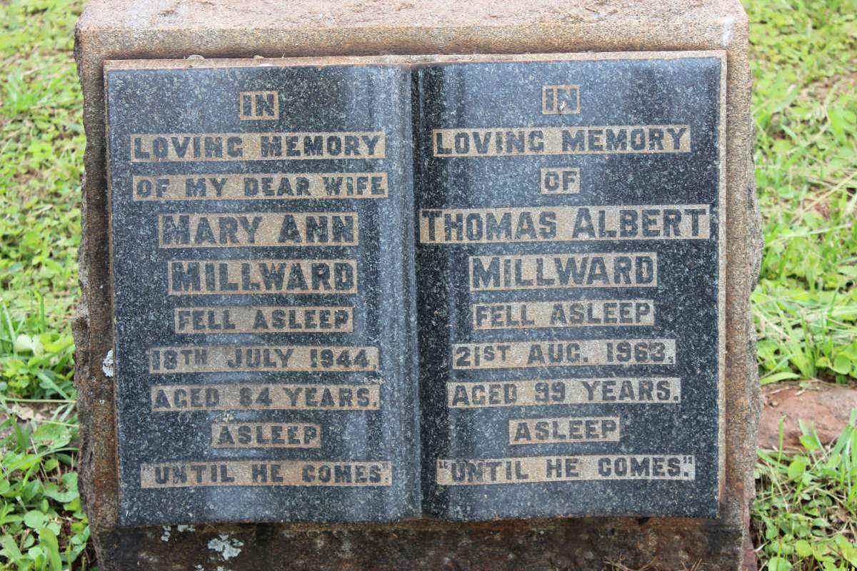 MILLWARD Thomas Albert -1963 &amp; Mary Ann -1944